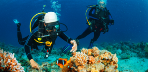Two scuba divers exploring a coral reef underwater, with one diver reaching toward a clownfish