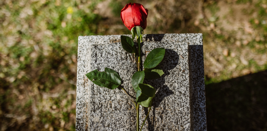 Red rose on a gravestone, symbolizing loss, mourning, or remembrance