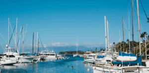 A peaceful marina filled with docked sailboats and yachts under a clear blue sky