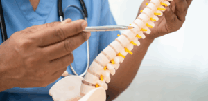 Doctor in scrubs points to a model of the human spine, explaining vertebrae and possible spinal injuries—often related to personal injury or accident trauma